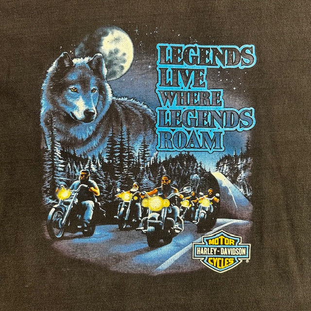 1991 Vintage Harley Davidson "Legends Live Where Legends Roam" tee - Size L