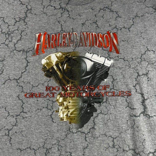 2003 Harley Davidson "100th Anniversary Lightning" tee - Size L