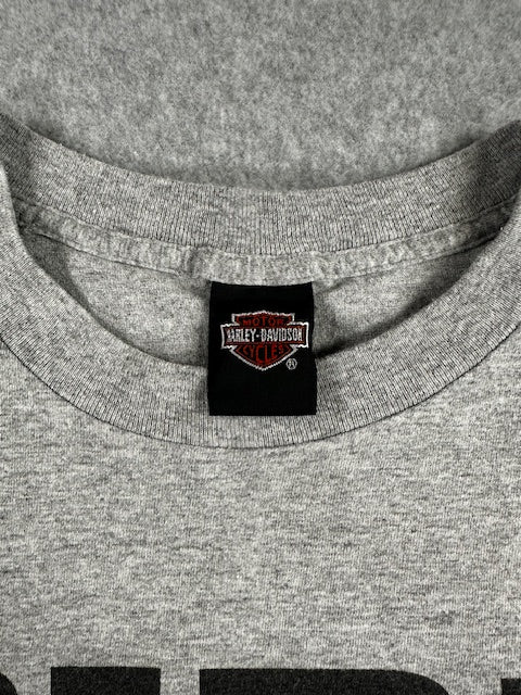 1995 Vintage Harley Davidson "Ride American" tee - READ DESC.
