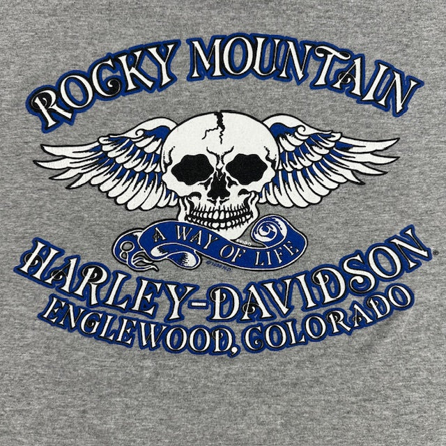 1995 Vintage Harley Davidson "Ride American" tee - READ DESC.