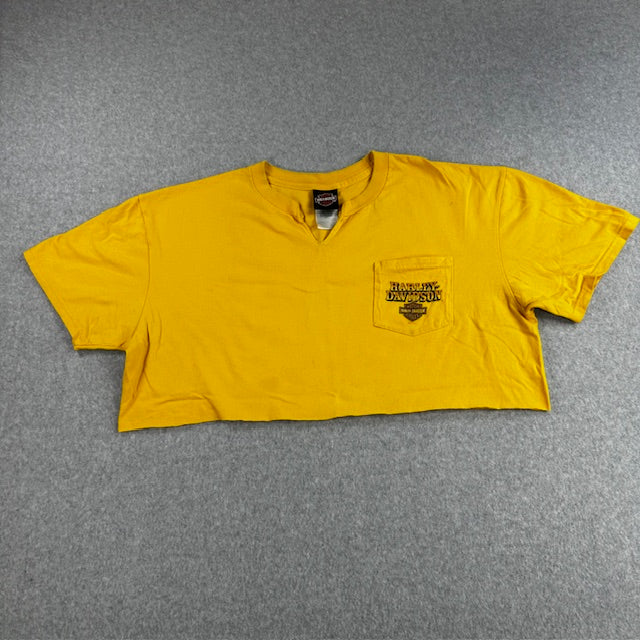 2011 Harley Davidson "Savannah GA" crop top - READ DESC.